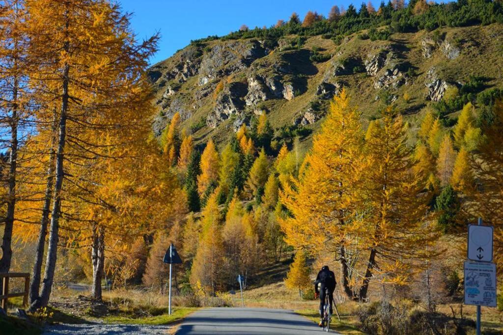Vivi Sereno, Uno Stile Si Vita! Grosio Buitenkant foto